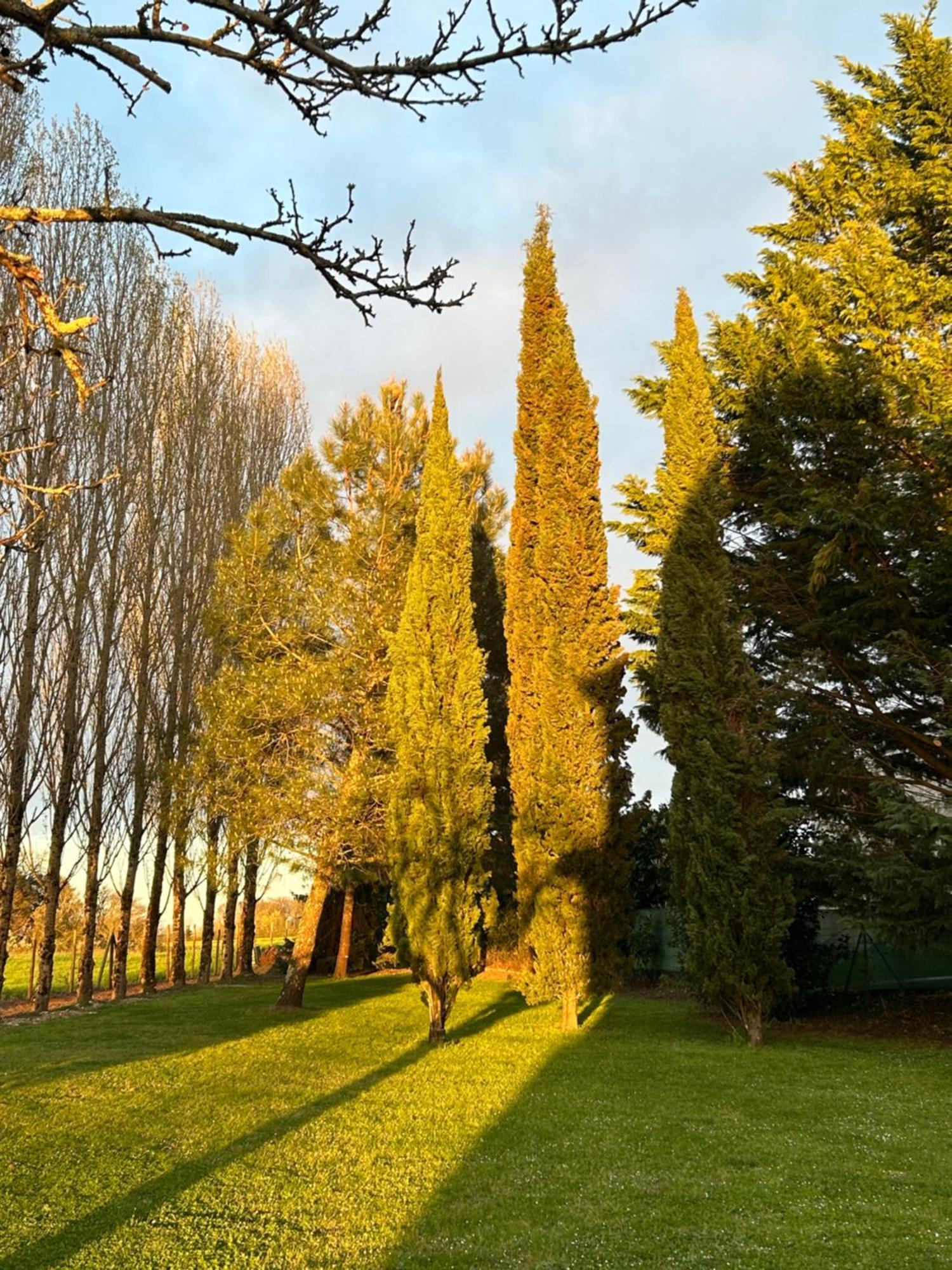 Bed and Breakfast Domaine De La Gemoliere Gémozac Exterior foto